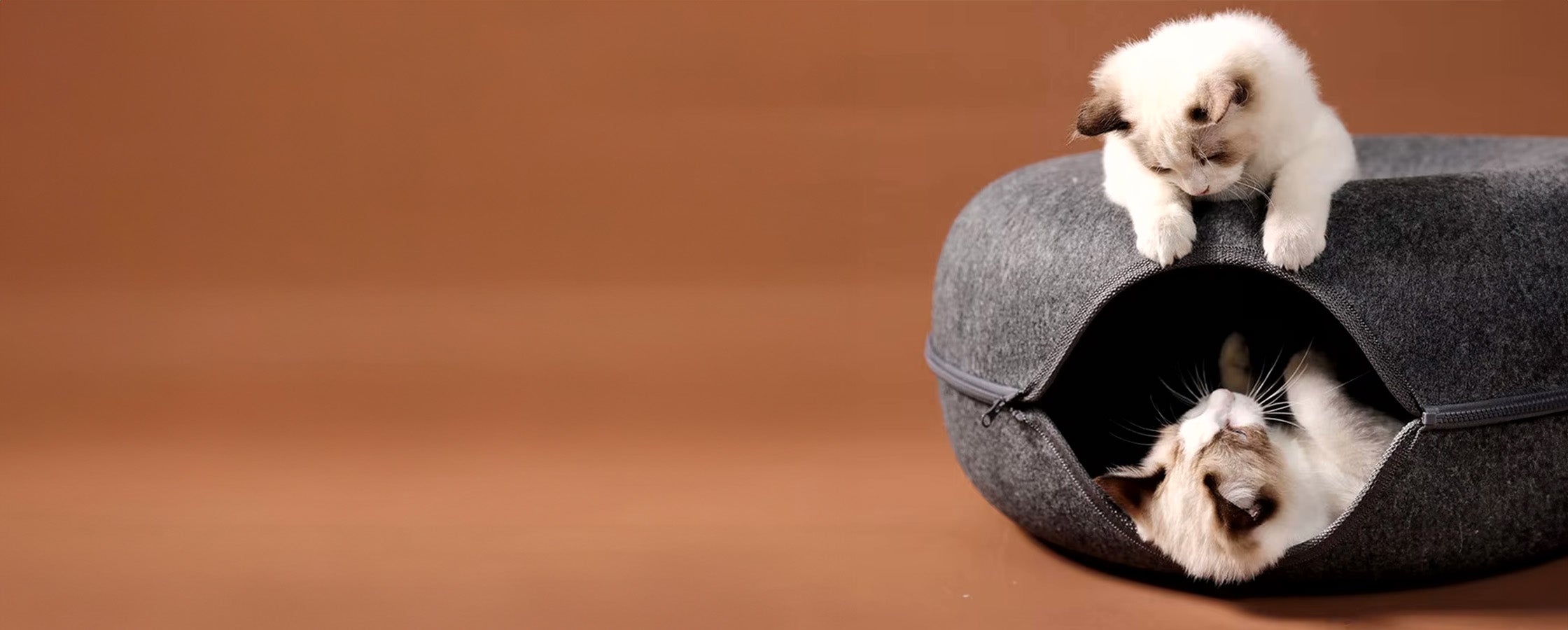 Desktop Slider Image